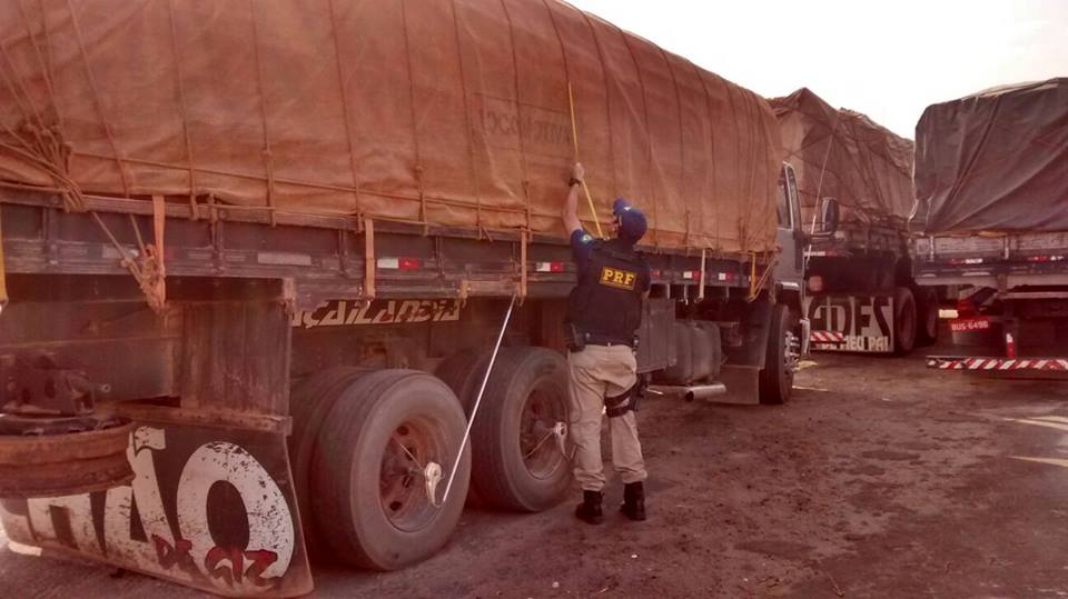 PRF APREENDE CARGA ILEGAL DE MADEIRA SERRADA NA BR 316