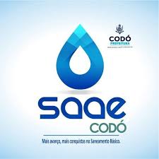 Vereadores explicam que o tema “VENDA DO SAAE ” nunca existiu, parceria público-privada é pra iluminação público