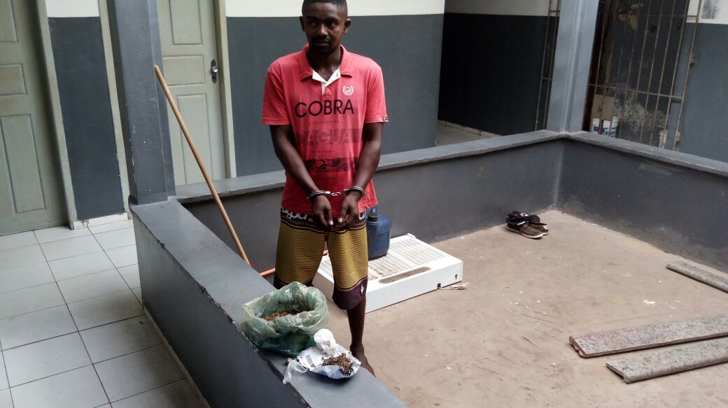 HOMEM PRESO EM CODÓ COM DROGAS DENTRO DE SUA RESIDÊNCIA