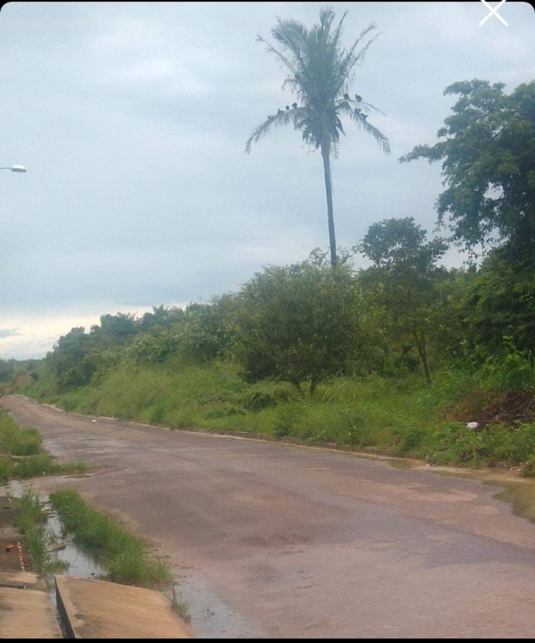 Moradores do residencial São Pedro pedem socorro em Codó