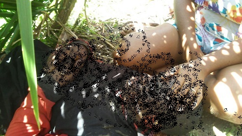VIOLÊNCIA: HOMEM É EXECUTADO EM CODÓ E TEM ORELHA DECEPADA PELOS ASSASSINOS