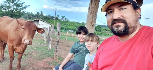 Criatório Senepol Peixe Boi é destaque em leilão e Codó citada como capital da raça no Maranhão