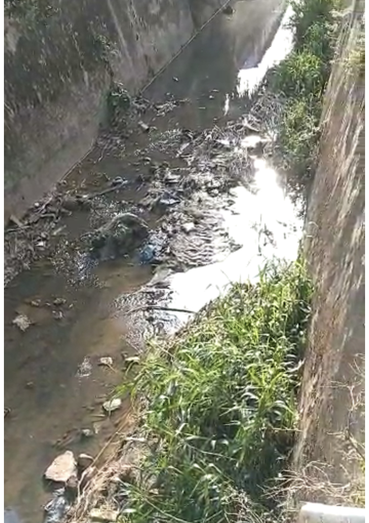 MORADORES DO BAIRRO SÃO BENEDITO EM CODÓ  DENUNCIAM CÓRREGO ENTUPIDO  E PEDEM QUE A PREFEITURA FAÇA UMA LIMPEZA PARA QUE A ÁGUA DO ESGOTO NÃO INVADA SUAS CASAS NA PRÓXIMA CHUVA.