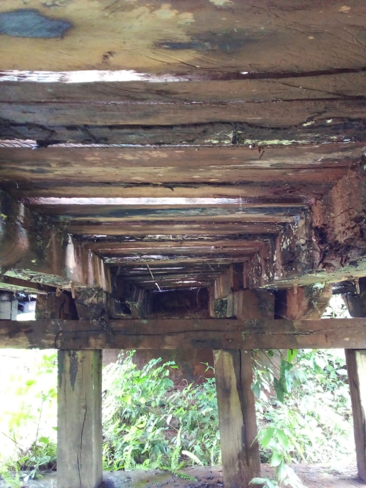 SOFRIMENTO! EM CODÓ MORADORES DO POVOADO PAU FERRO, RIACHO SECO E BACABAL DO BERÍLO DIZEM QUE PREFEITO ZÉ FRANCISCO VEM ENGANANDO ELES HÁ MAIS DE UM ANO. PROMETEU AS PONTES E NÃO  CUMPRIU E COM AS CHUVAS NINGUÉM MAIS PASSA