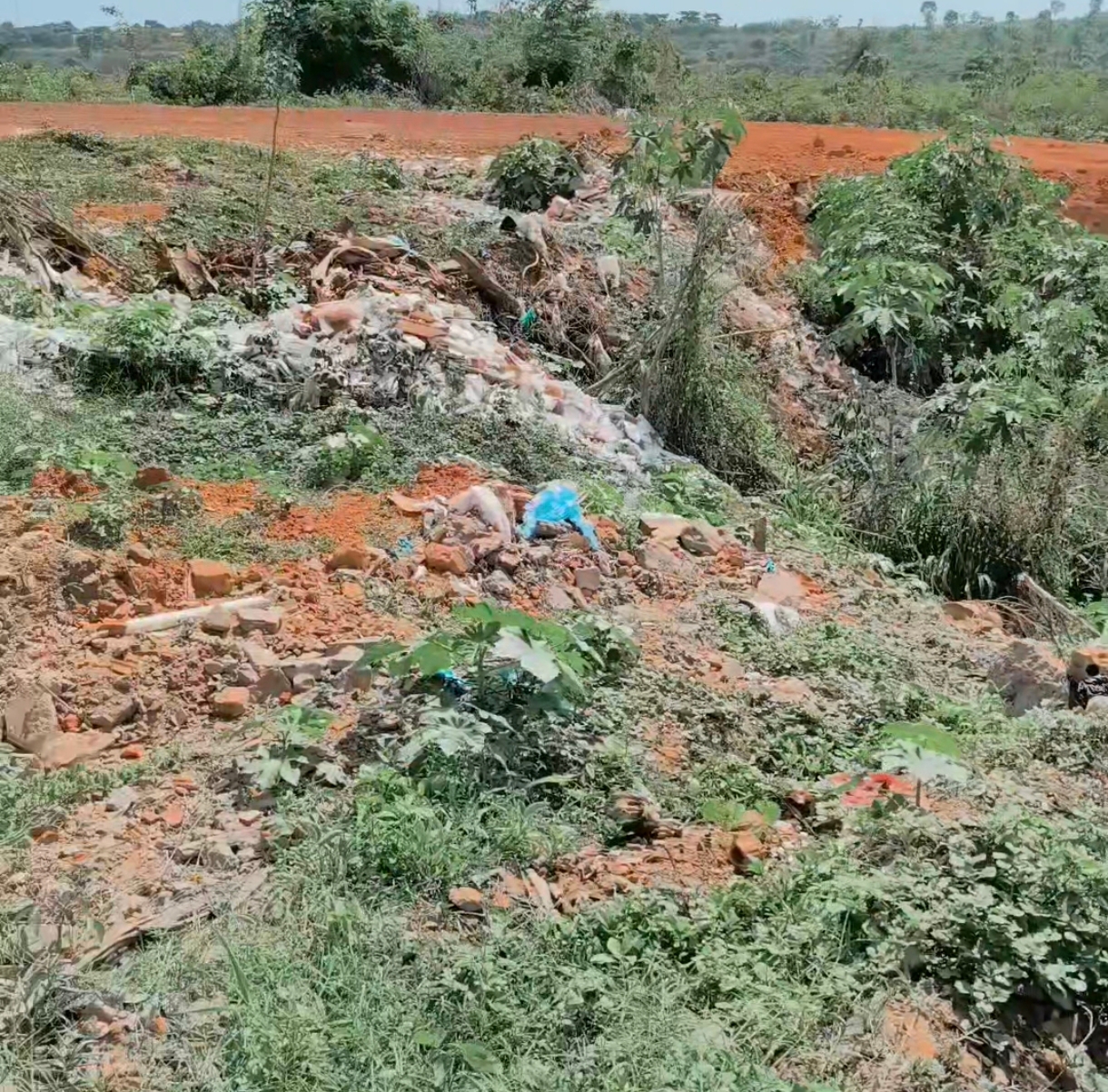 DENÚNCIA GRAVÍSSIMA: Minha Casa Minha Vida em Codó está ameaçada por abandono e descaso da Prefeitura.