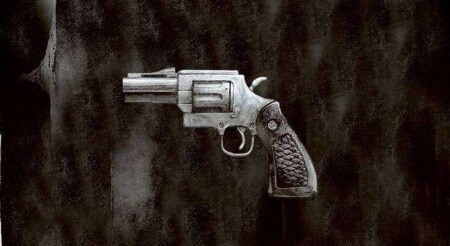 63 MILHÕES DE BRASILEIROS PODERIAM COMPRAR ARMAS COM NOVAS REGRAS, A PARTIR DE JANEIRO.