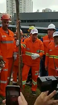 PREFEITO DE SÃO PAULO CHAMA LULA DE “O MAIOR CARA DE PAU DO BRASIL” E DEDICA PLANTIO DE MUDA “PAU BRASIL” A ELE- VEJA VÍDEO.
