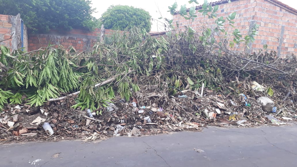 COMERCIANTE DE CODÓ É DENUNCIADO POR JOGAR LIXO DE SEU QUINTAL NO MEIO DA RUA E ESTÁ PREJUDICANDO MORADORES DA RUA PROF. MARIA ALICE MACHADO.