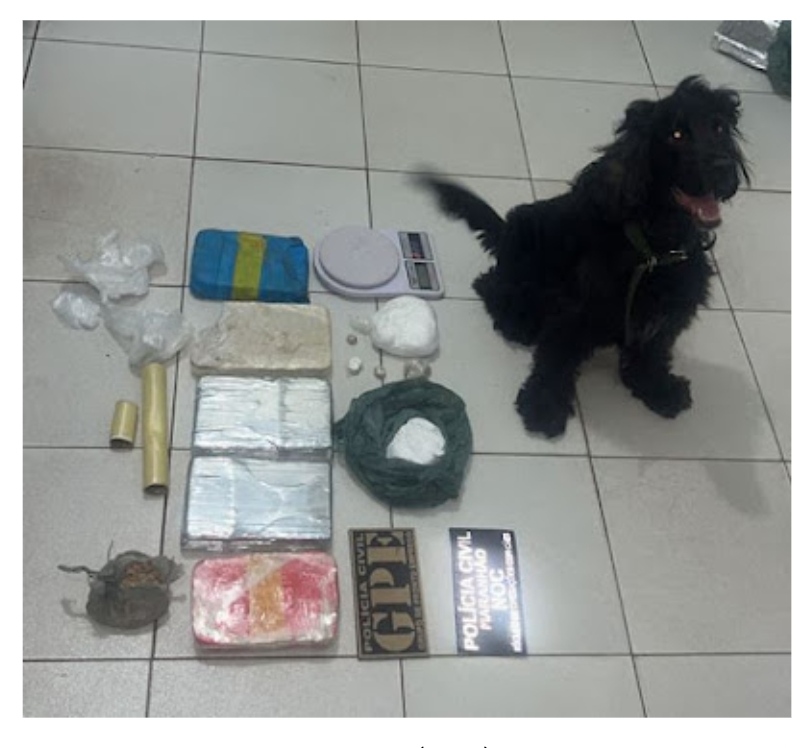 OPERAÇÃO DAVI: quatro pessoas são presas por tráfico de drogas em Codó
