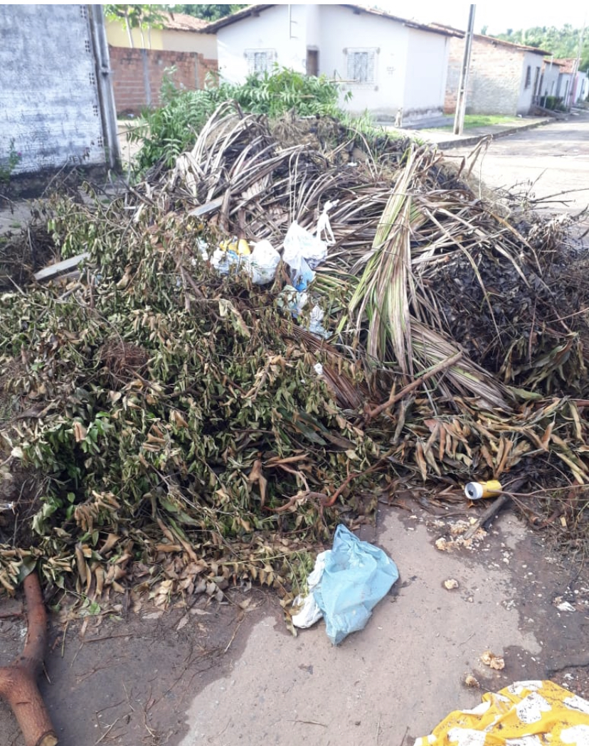 MORADORES DO RESIDENCIAL SANTA RITA DENUNCIAM QUE ZÉ FRANCISCO DEIXOU ENTULHOS NAS RUAS QUE JÁ DURA UM MÊS E NUNCA MANDOU RECOLHER. ATÉ COBRAS JÁ ESTÃO ENTRANDO NAS CASAS.