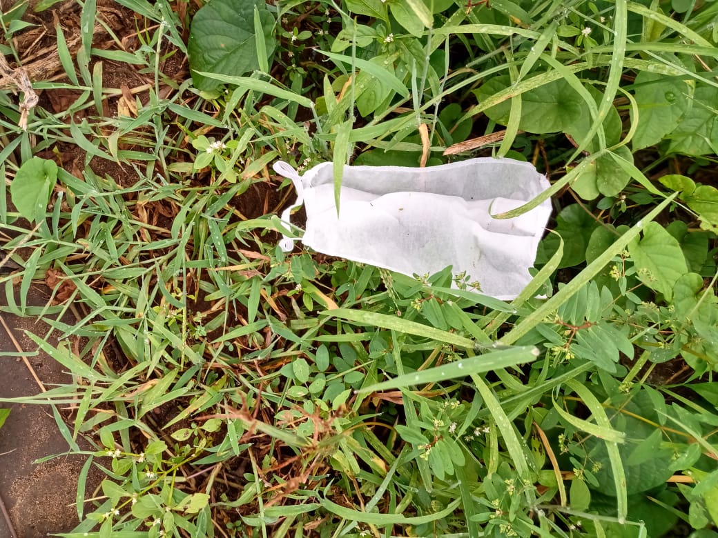 MORADORES DENUNCIAM QUE ENFERMEIROS DA UPA JOGAM MASCARAS, LUVAS E TOUCAS CONTAMINADAS AO AR LIVRE NA RUA E CRIANÇAS PEGAM.