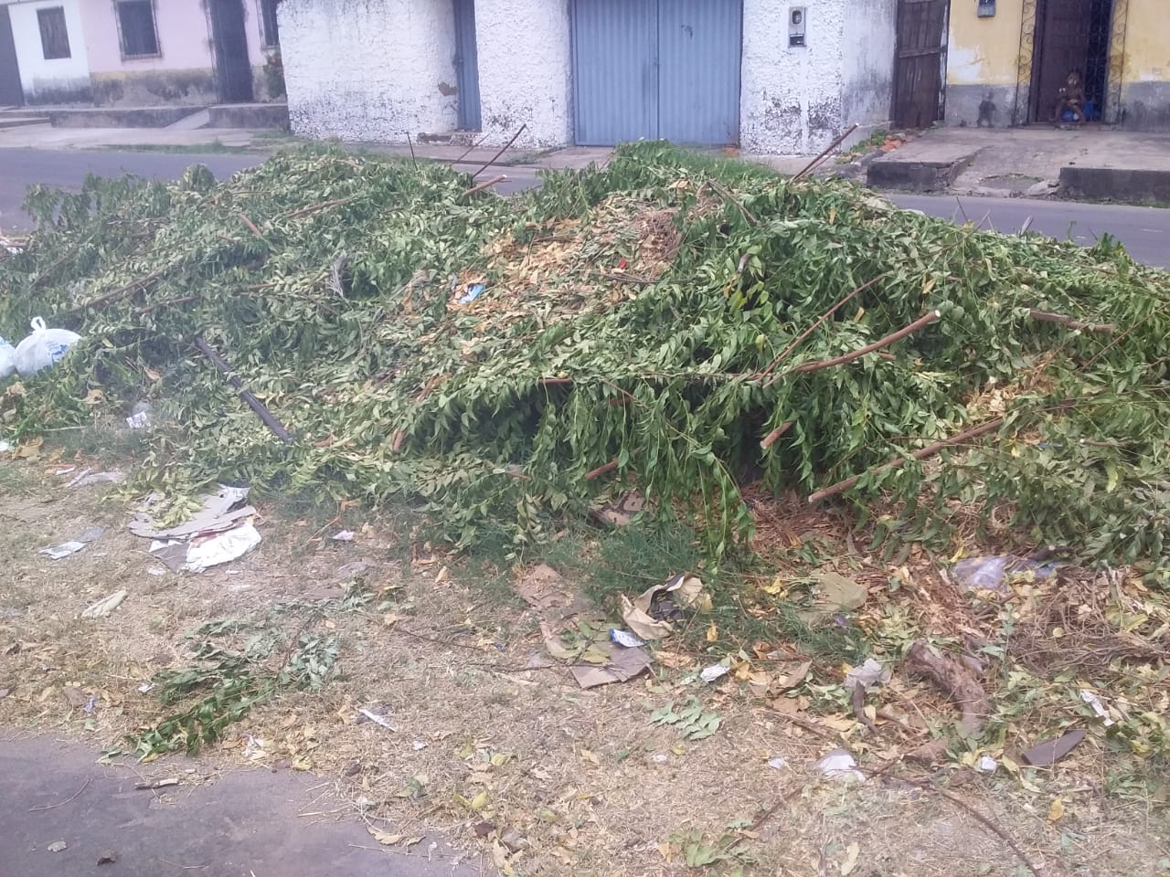 MORADORA PEDE LIMPEZA DA RUA MONTE ALVERNE EM CODÓ, MUITO LIXO.