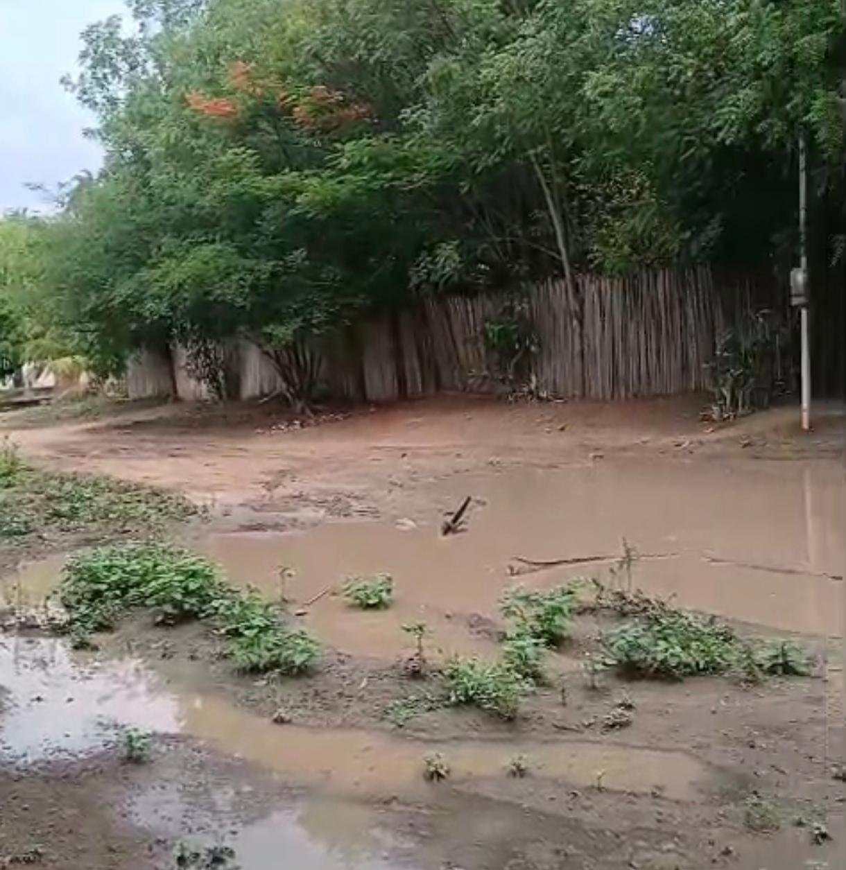 APÊLO DOS MORADORES DA RUA NOVA – POVOADO BACABINHA