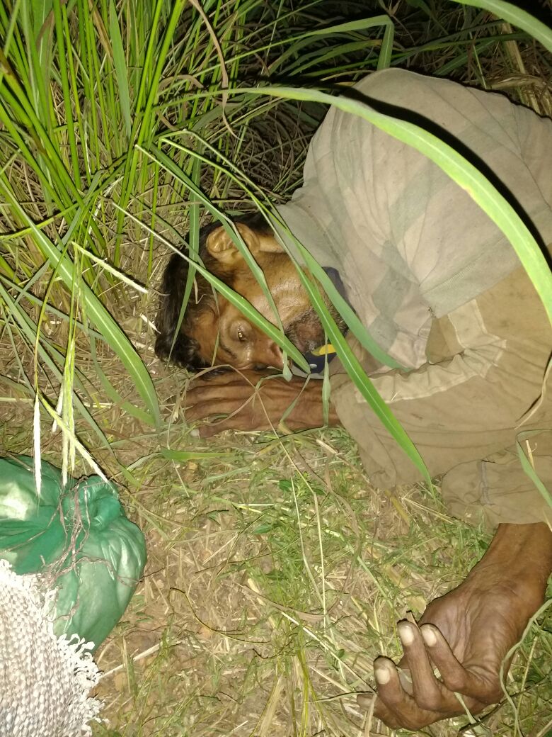 HOMEM AINDA NÃO IDENTIFICADO É ENCONTRADO MORTO PRÓXIMO AO KM 17, O CORPO ESTÁ NO HGM DE CODÓ