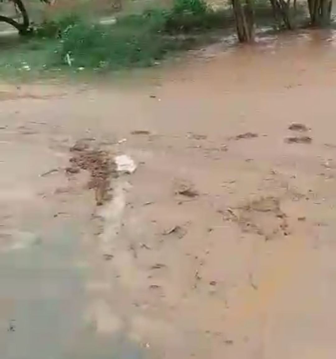 MORADOR DIZ QUE NEM JUMENTO PASSA MAIS NA RUA DELE DE TÃO ABANDONADA QUE ESTÁ. BAIRRO SÃO RAIMUNDO PEDE SOCORRO!!