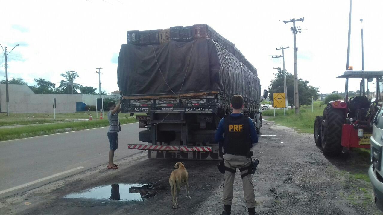 PRF APREENDE MADEIRA ILEGAL NA BR 316 EM SANTA INÊS/MA