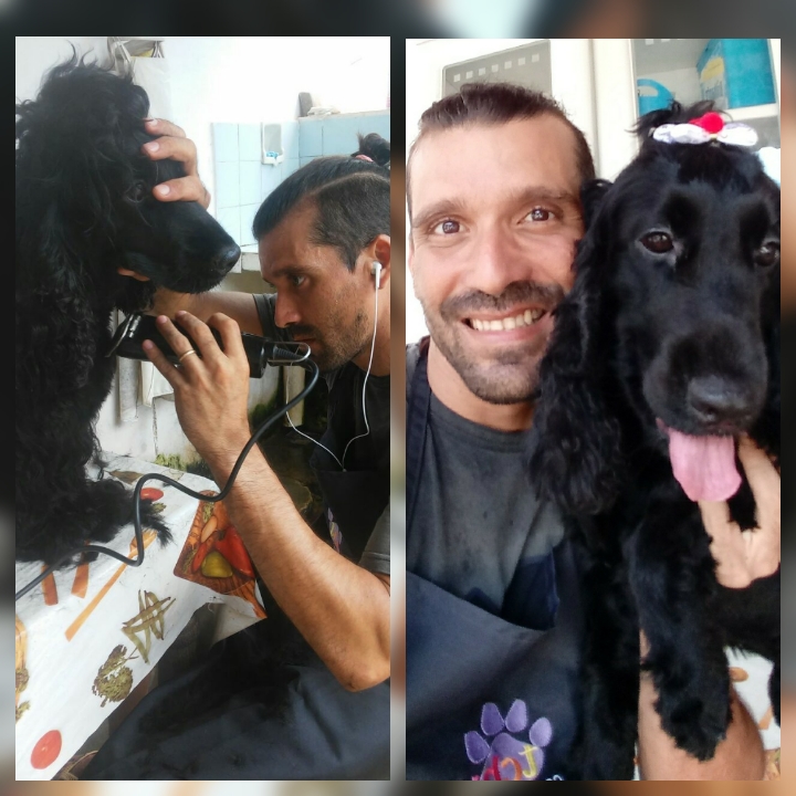 CONHEÇA O TRABALHO DE TOY FILHO NA CIDADE DE CODÓ – QUE É A PARTE ESTÉTICA DOS ANIMAIS E HOSPEDAGEM DO SEU CÃO.
