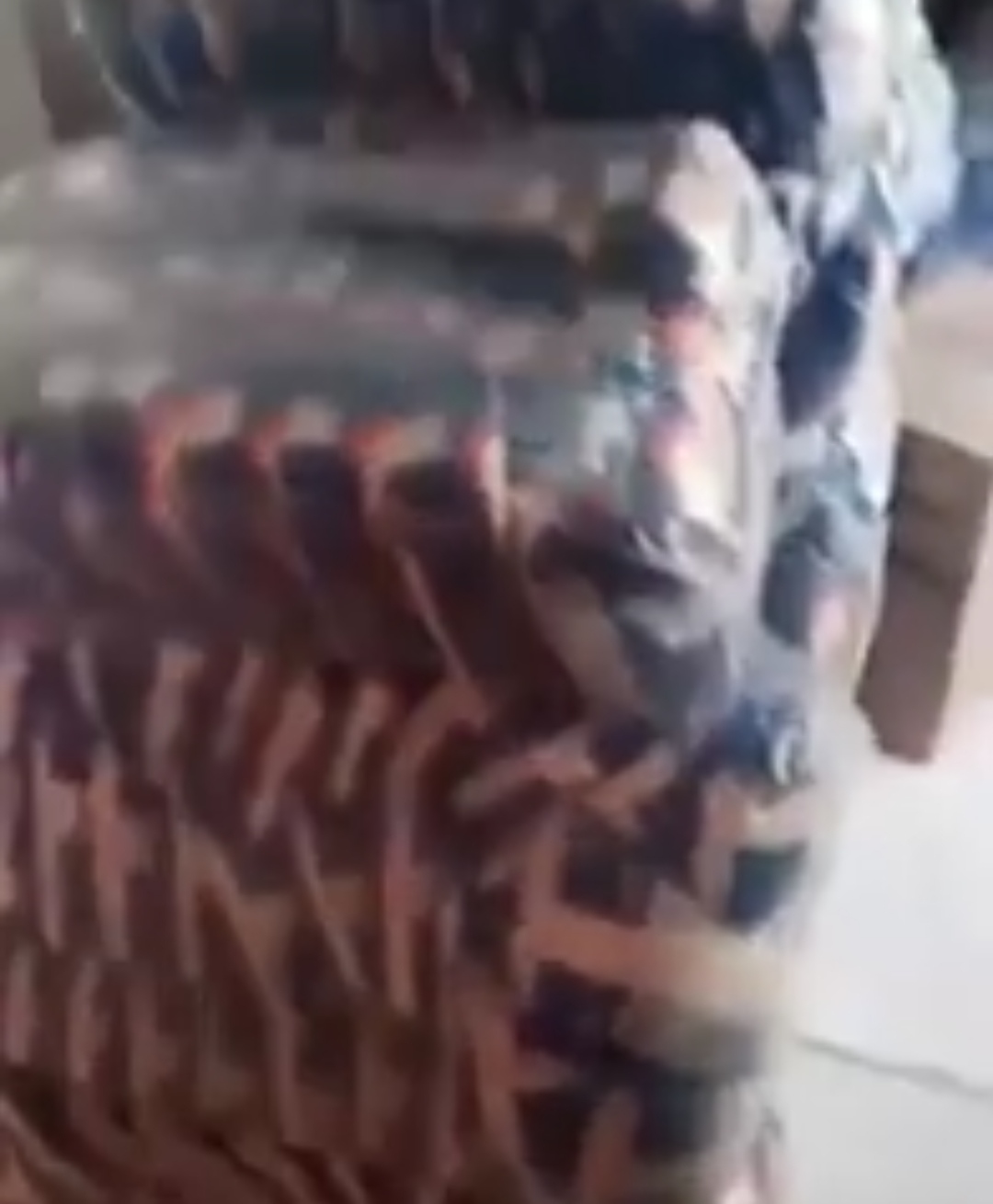 Em CODÓ Professora grava vídeo pra mostrar a grande quantidade de merenda escolar na que chegou para os alunos na Maria Alice Machado