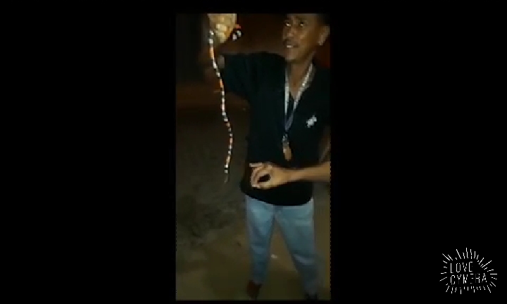 VÍDEO MOSTRA HOMEM MORRENDO APÓS BRINCAR COM COBRA-CORAL E SER PICADO POR ELA AO VIVO