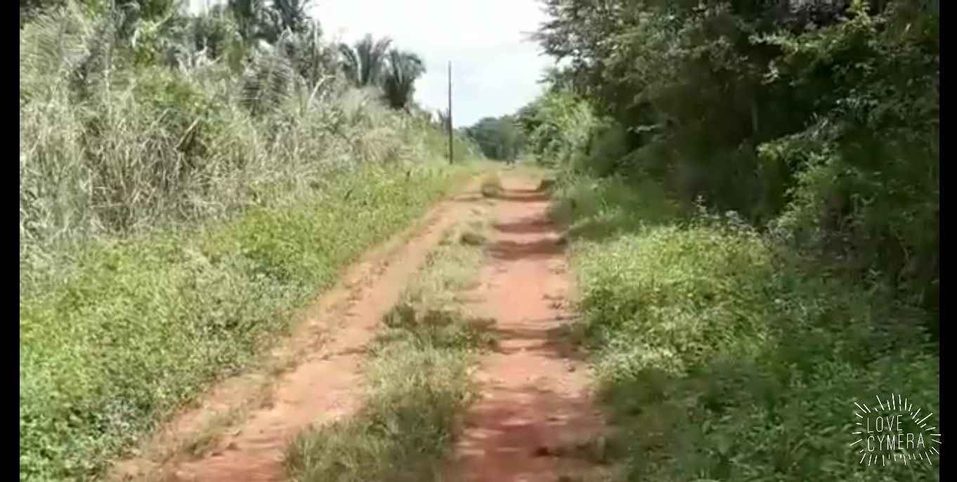 CORPO É ENCONTRADO EM MATAGAL DE CODÓ CRAVADO DE BALA E SEM IDENTIFICAÇÃO.