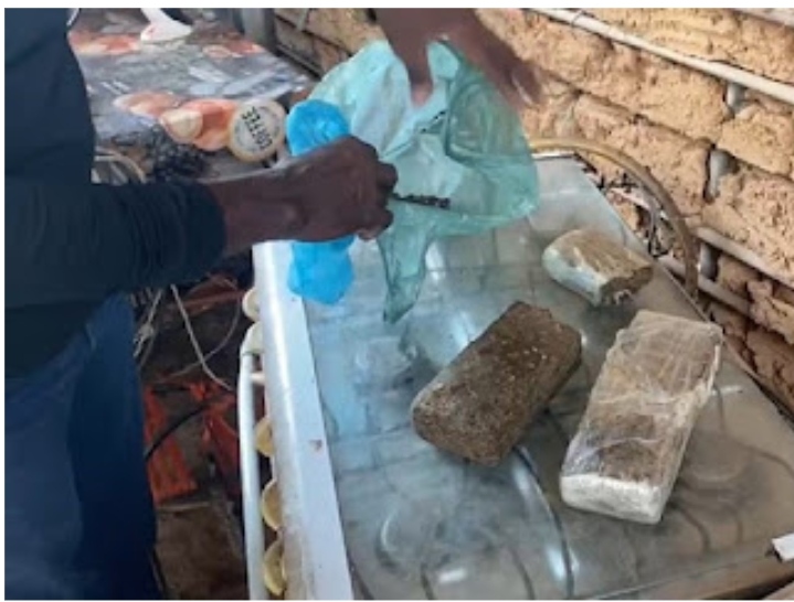 Polícia Civil apreende droga na residência de suspeito pelo assassinato de mulher no bairro Codó Novo
